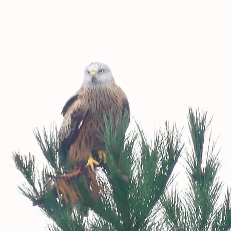 En La Colina 2 Montanealde Homestay szállás