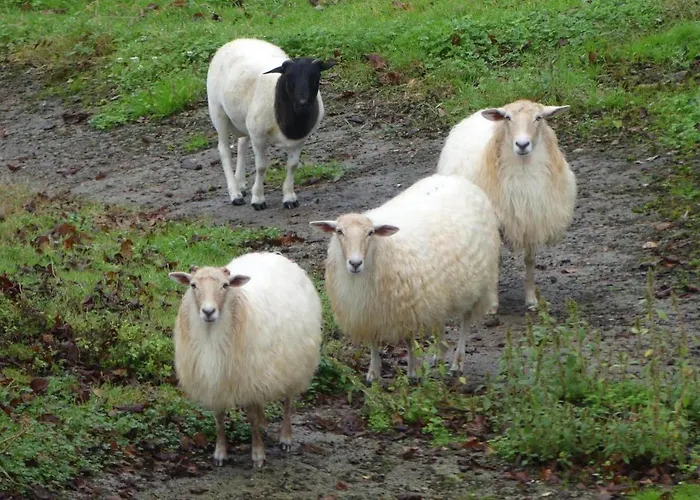 En La Colina 2 Montanealde منزل للإقامة Gamiz-Fika