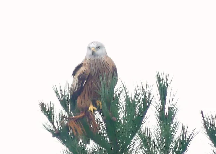 En La Colina 2 Montanealde منزل للإقامة